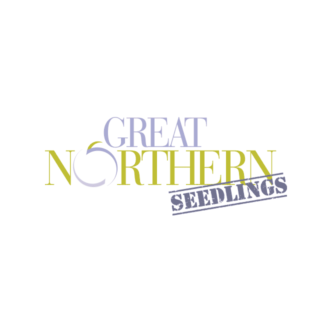 Great Northern Seedlings